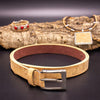 Natural cork belt